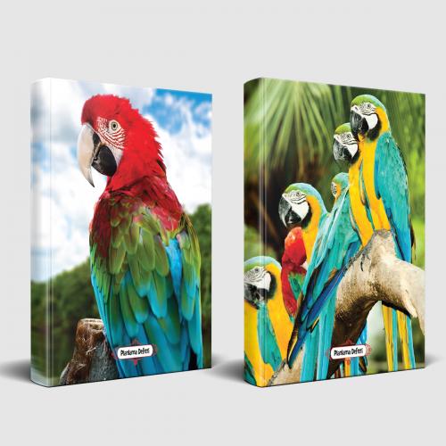 Sevimli Hayvanlar Defter Gökkuşağı ve Papağan Ailesi