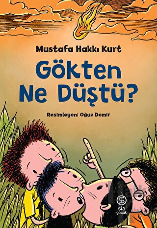 Gökten Ne Düştü?