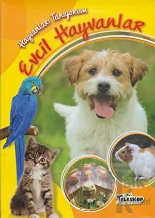 Hayvanları Tanıyorum - Evcil Hayvanlar - Halkkitabevi