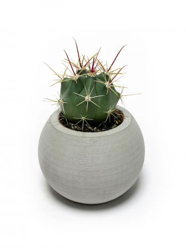 Küre Beton Saksı - Halkkitabevi