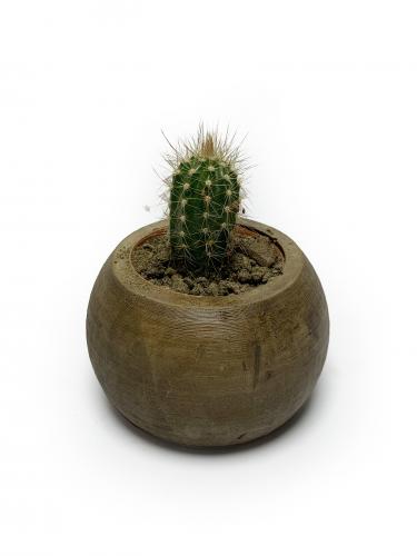 Ahşap Renkli Beton Küre Saksı - Halkkitabevi