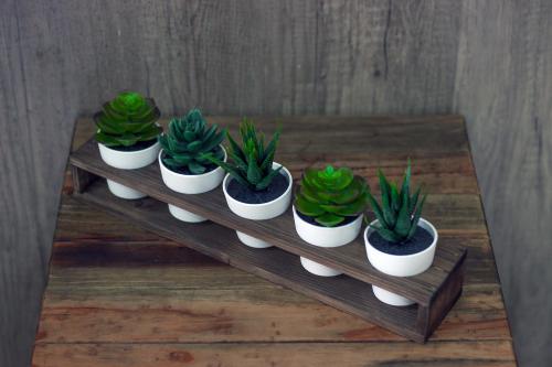 5'li Ahşap Sukulent Standı - Halkkitabevi