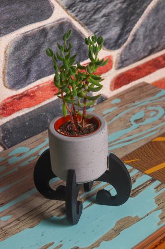 HK Dekor Mia Ayaklı Beton Saksı - Halkkitabevi