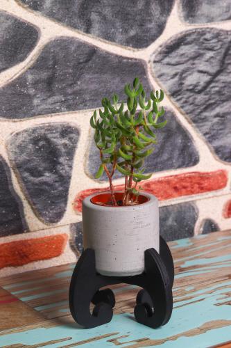 HK Dekor Mia Ayaklı Beton Saksı - Halkkitabevi