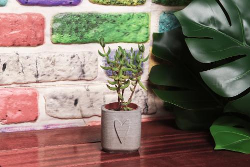 HK Dekor Kalp Motifli Beton Saksı - Halkkitabevi