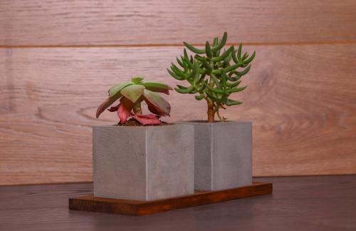 HK Dekor Beton Saksı Takımı - Halkkitabevi