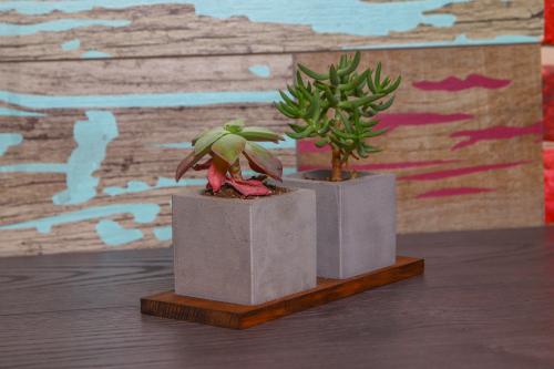 HK Dekor Beton Saksı Takımı - Halkkitabevi