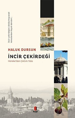 İncir Çekirdeği