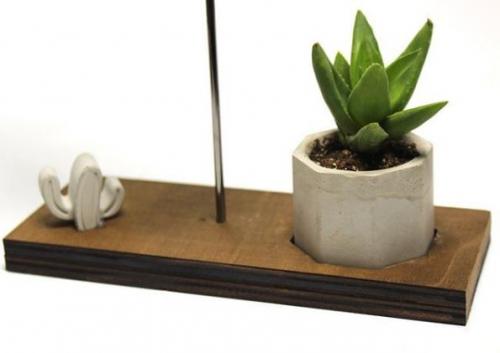 Kalp Love, Altıgen Beton Saksı ve Beton Kaktüs - Halkkitabevi