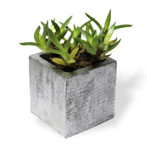 Kare Beton Saksı Gümüş - Halkkitabevi