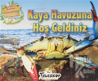 Kaya Havuzuna Hoş Geldiniz - Canlılar ve Yaşam Alanları