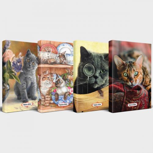 Kedili Defter Seti - 4 Defter V3