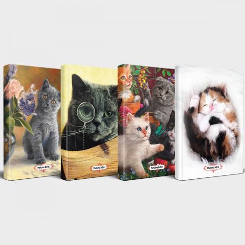 Kedili Defter Seti - 4 Defter V4 - Halkkitabevi