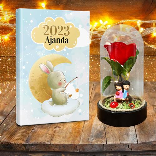 Kırmızı Gül ve Sevgililer Teraryum Hediye Seti - Ay Tavşanı Dünya Klas