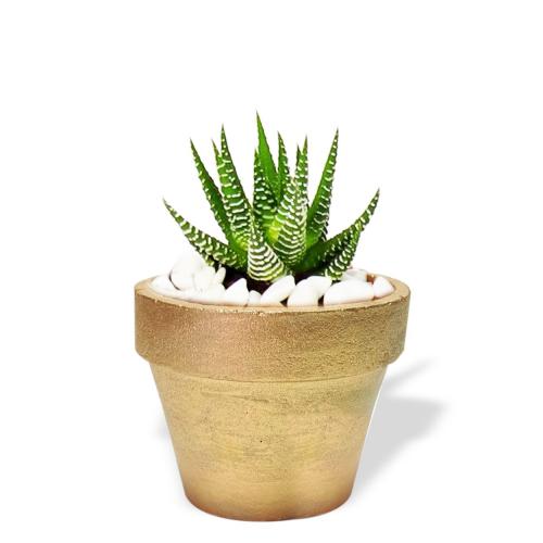 Klasik Beton Saksı Altın - Halkkitabevi