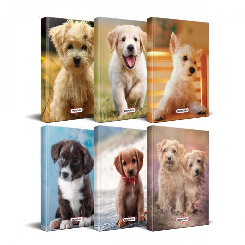 Köpek Temalı Süresiz Planlama Defter Seti - 6 Defter