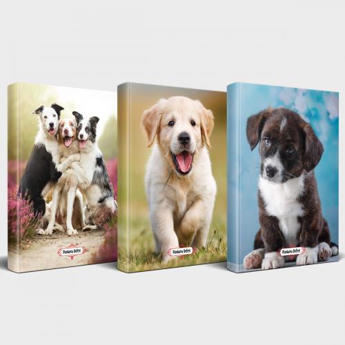Köpek Temalı Defter Seti 3'lü v3