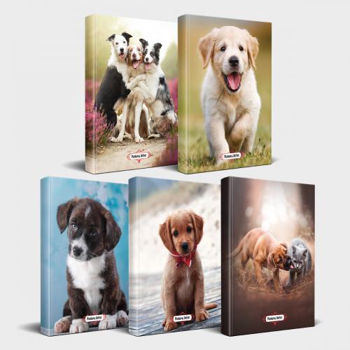 Köpek Temalı Defter Seti 5'li v2 - Halkkitabevi