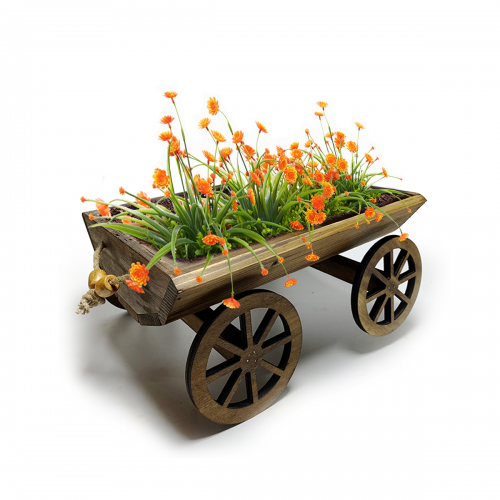 Küçük Kağnı Çiçeklik