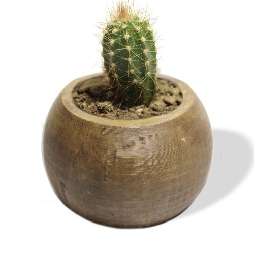 Küre Beton Saksı - Kahve