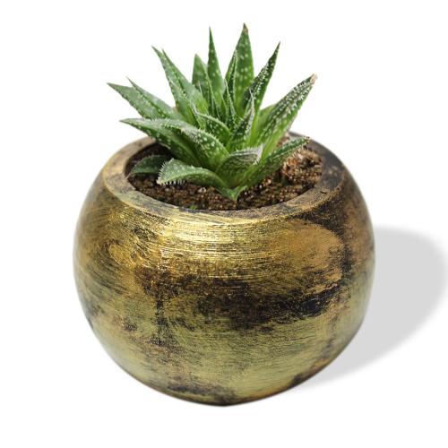 Küre Beton Saksı - Siyah Üstü Altınvarak