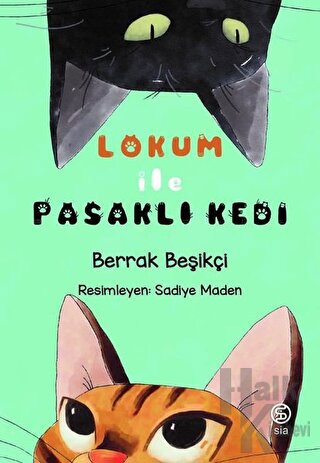 Lokum ile Pasaklı Kedi - Halkkitabevi