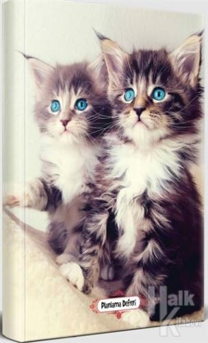 Maviş Kediler - Planlama Defteri