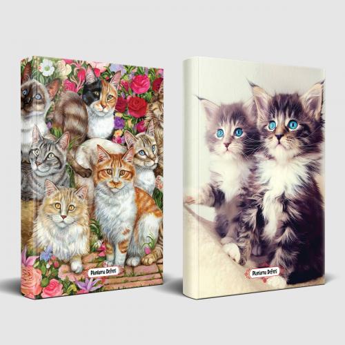 Meraklı Kediler ve Maviş Kedileri Planlama Defteri