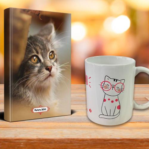 Minik Kedi Ajanda Sevimli Kedi Kupa Seti - Halkkitabevi