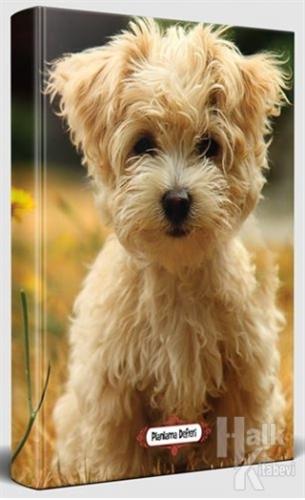 Neşeli Yüz - Süresiz Planlama Defteri