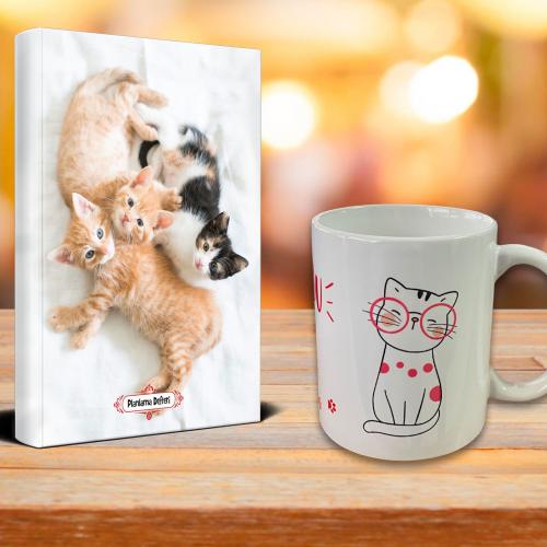 Oyuncu Kedi Ajanda Sevimli Kedi Kupa Seti - Halkkitabevi