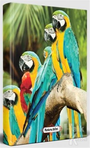 Papağan Ailesi - Süresiz Planlama Defteri