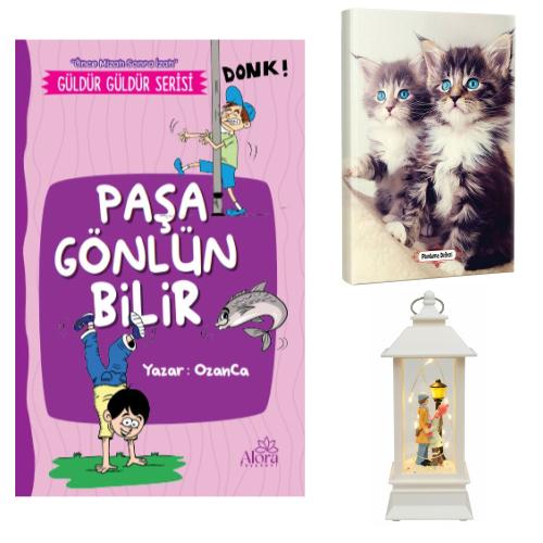 Paşa Gönlün Bilir - Maviş Kediler Planlama Defteri ve Sokak Lambalı Aşk Fener Tipi Işıklı Kar Küresi