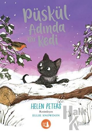 Püskül Adında Bir Kedi