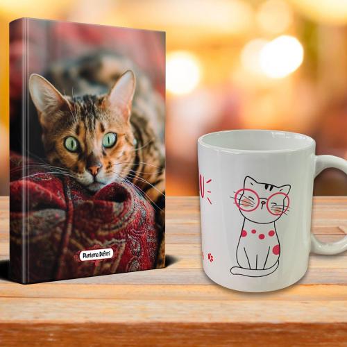 Saskin Kedi Ajanda Sevimli Kedi Kupa Seti - Halkkitabevi