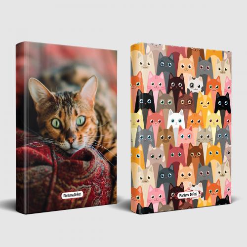 Şaşkın Kedi ve Sivri Kulaklar Planlama Defteri