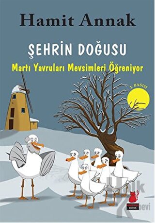 Şehrin Doğusu: Martı Yavruları Mevsimleri Öğreniyor