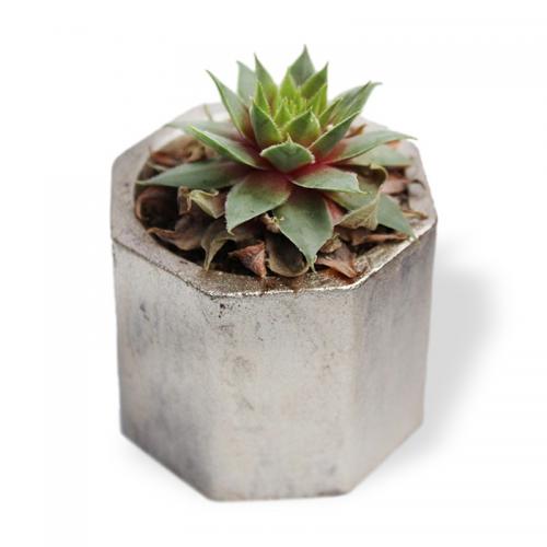 Sekizgen Silindir Beton Saksı, Gümüş - Küçük Boy - Halkkitabevi