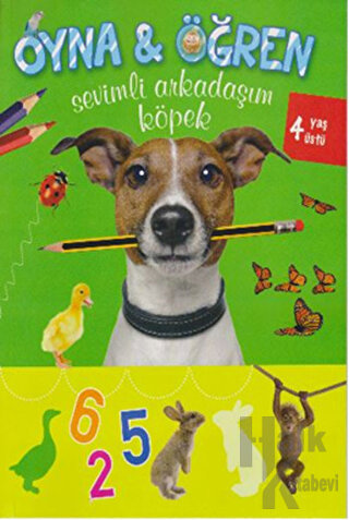 Sevimli Arkadaşım Köpek