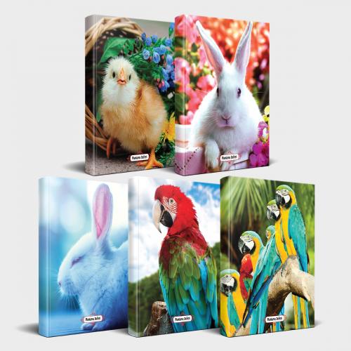 Sevimli Hayvanlar Defter Seti 5'li v2 - Halkkitabevi