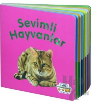 Sevimli Hayvanlar
