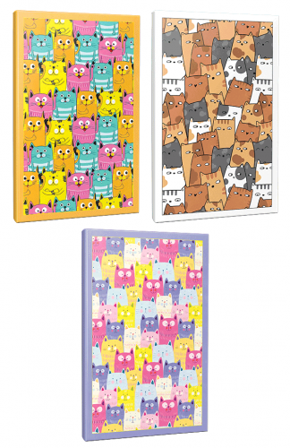 Sivri Kulaklar 3lü 64 Sayfa Çizgili Okul Defteri Seti -1 - Halkkitab