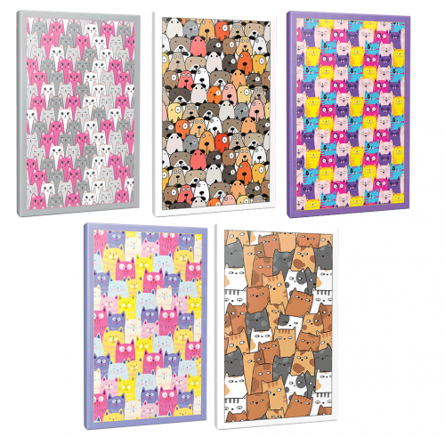 Sivri Kulaklar 5li 64 Sayfa Çizgili Okul Defteri Seti -4 - Halkkitabe