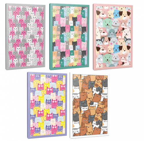 Sivri Kulaklar 5li 64 Sayfa Çizgili Okul Defteri Seti -6 - Halkkitabe