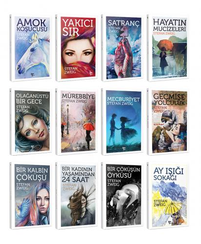 Stefan Zweig 12 Kitap Bir Arada -4