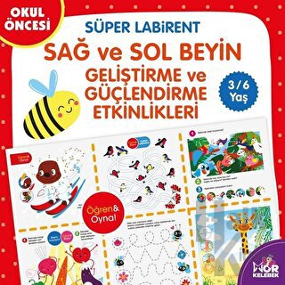 Süper Labirent Sağ ve Sol Beyin Geliştirme ve Güçlendirme Etkinlikleri
