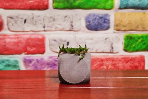 Via Beton Saksı - Halkkitabevi