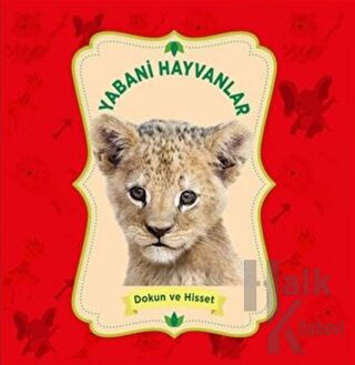 Yabani Hayvanlar - Dokun ve Hisset